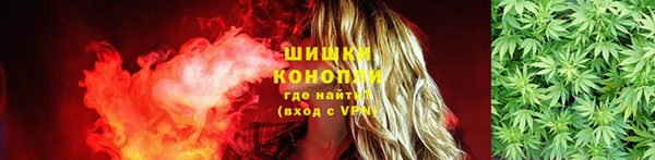 гидра Пестово