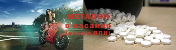 шишки Абаза