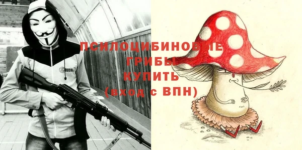 тгк Пересвет