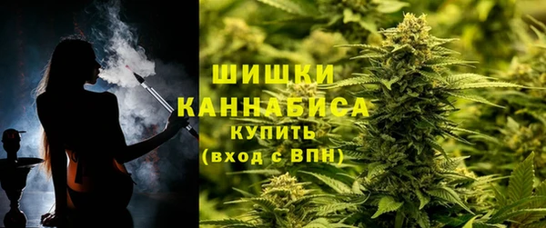 гидра Пестово