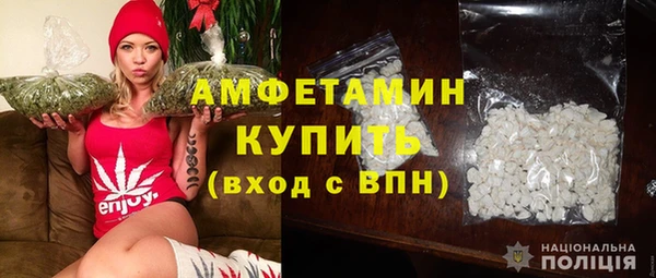 тгк Пересвет
