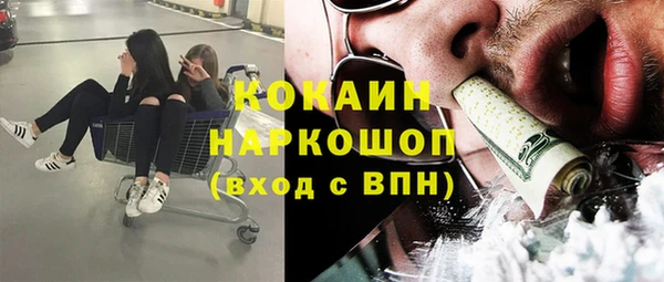 тгк Пересвет