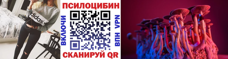 блэк спрут как войти  Сорск  Псилоцибиновые грибы GOLDEN TEACHER 